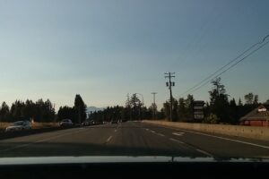 Lucky Paws Pet Supply and Dog Wash