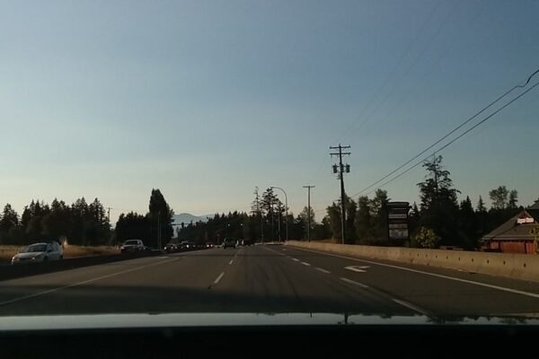 Lucky Paws Pet Supply and Dog Wash