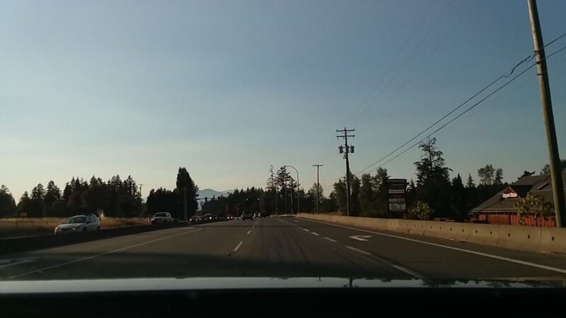 Lucky Paws Pet Supply and Dog Wash