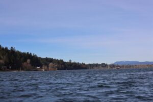 Cow Bay’s Pirate Shack