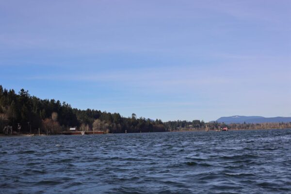 Cow Bay’s Pirate Shack