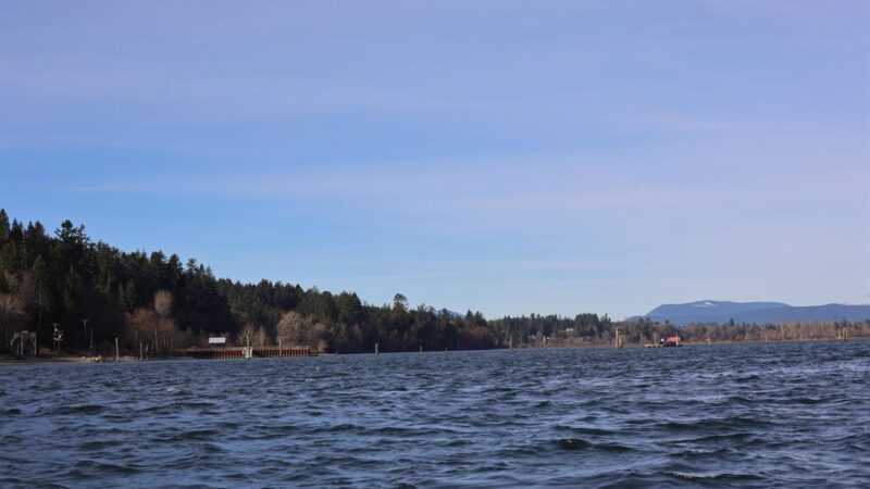 Cow Bay’s Pirate Shack