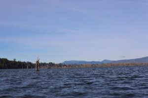 Pier 66 Market and Liquor Store