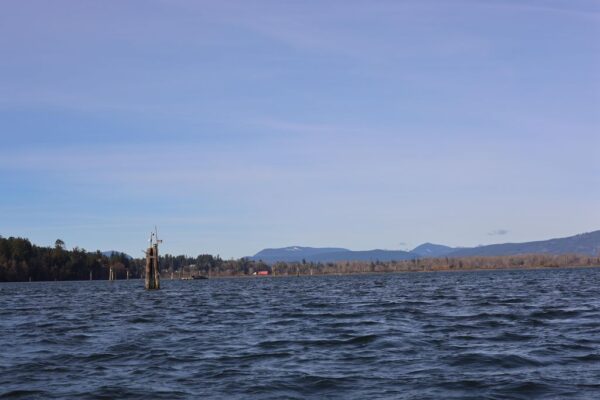Pier 66 Market and Liquor Store