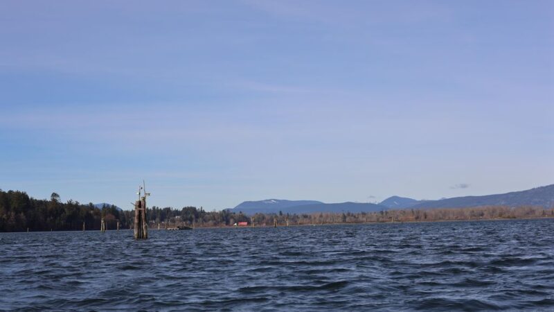 Pier 66 Market and Liquor Store