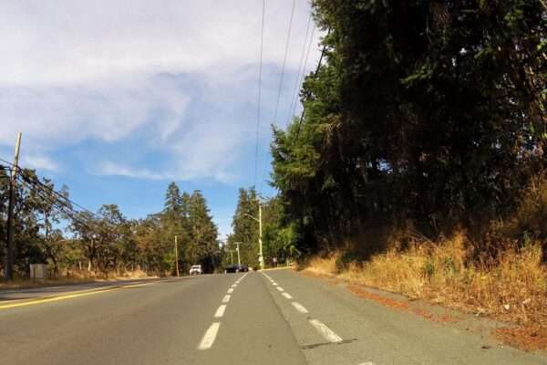 Cowichan Garry Oak Preserve