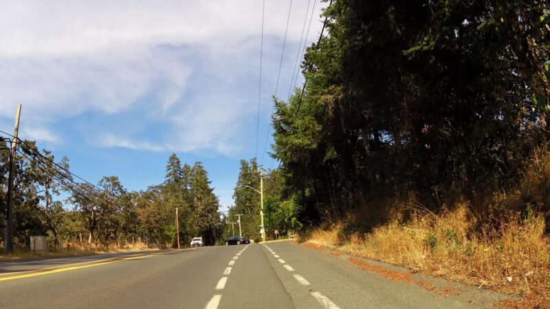 Cowichan Garry Oak Preserve