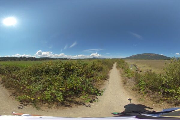 Cowichan Estuary Conservation