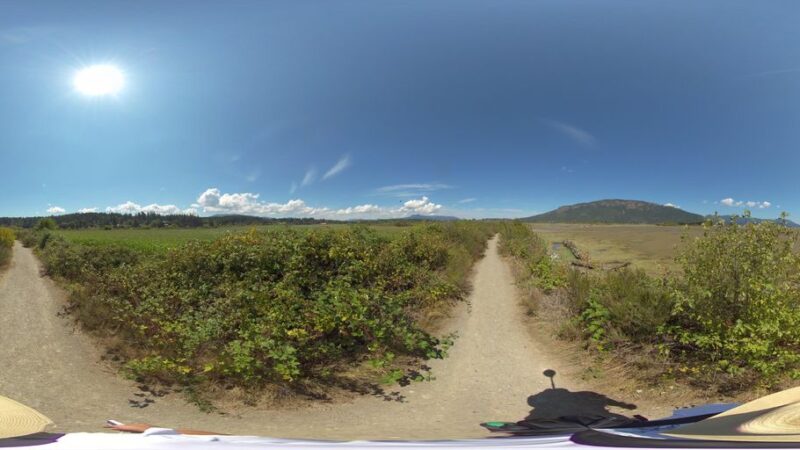 Cowichan Estuary Conservation