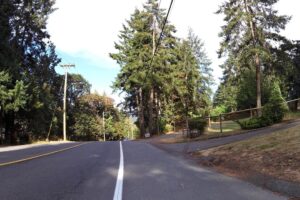 Maple Bay Dog Park