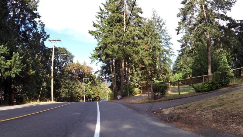 Maple Bay Dog Park